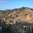 선경