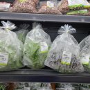 사회적협동조합행복림 이미지