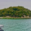 완도 주도 상록수림 이미지