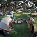 송호관광지 이미지