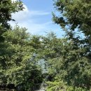 상대농원 | 밀양 물놀이 테마농원캠핑장 수영장 평상대여 캠핑후기!