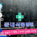 둔내식물병원