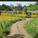 연세나을병원 이미지