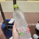 시티옥사우나 | [도쿄 여행] 1일차: 츠지한, 팀랩보더리스, 도쿄 타워 - 6년 만의 일본 여행!