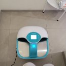 레푸스천안두정점