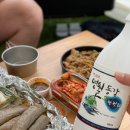 영월 애견동반 캠핑장 동강카누캠프 고양이습격 야크돔텐트 a/s 직행