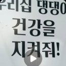 올데이 멍데이 이미지