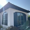 아라뜰데이지 이미지