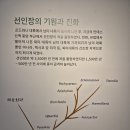 신구대학교식물원 갤러리 우촌 | [공지] [성남 전시회] 갤러리 우촌 '신선의 손바닥' 신구대학교식물원 기획전 2024년 4월 5월 [멸종위기...