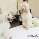 패밀리축산 - 남동구 용천로 86 | 패밀리축산