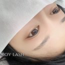 속눈썹쟁이