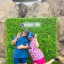 (주)통영워터피아 이미지