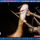 삼방낚시터 이미지