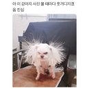 또머꼬