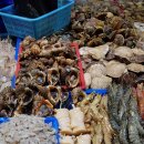 영풍상회 이미지