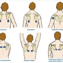리턴투 필라테스 이미지