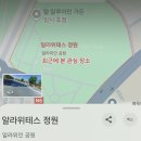 엘비드 | 250412 일상에서의 일탈(12일차, 페스2일차)