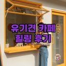 다시사랑받개 | 입양과 힐링이 함께한 하루, 포인핸드 · 다시사랑받개 후기