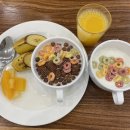 제주 가성비 숙소 추천 성산 - ’코델리아s 호텔‘ 후기 / 조식 + 수영장