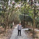 죽도봉공원 이미지