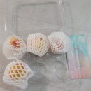 우승농장 | 아로농장 &#39;태우승복숭아&#39; 조황 솔직후기