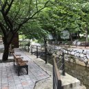 주록리계곡 루돌프 이미지