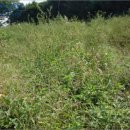 문곡2리마을회관 이미지