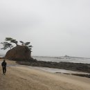 쌍도2