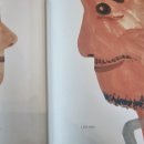 나의바다 이미지