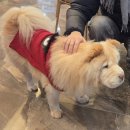 빈센트 호텔 | [내돈내산] 전주 더 빈센트 호텔 리뷰 위치 객실 솔직 후기