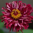 상동초등학교 이미지