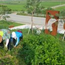 디엠지레클리스협동조합 이미지