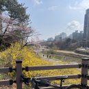 평지 | 로드자전거 평지 라이딩 후기 – 기어비에 따른 부하 조절과 크루징 팁