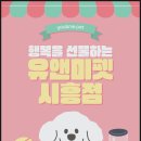 금천구청 | 금천구청고양이분양 후기도심 속 일상에 따뜻함을 더해준 선택, 금천구청에서 만난 고양이