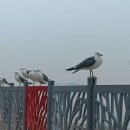 인당경로당 이미지