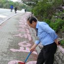 피고지고 이미지