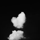 바다, 생명을 담다 이미지