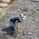 빙수네민박 이미지