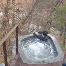 우진엘라운지 | 제천리솜포레스트:) 스파, 조식, 숙소 후기