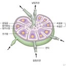 칩문제:이건우님글 옮김(글 1,2,3) 이미지