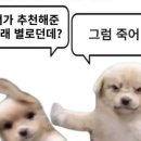 가자 이미지