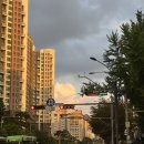 (주)새앰 샘사우나 | 7월 셋째 주(12일~18일: 주 6회)