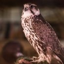 파도노래 이미지