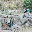 퓨네이처 | 15개월아기 가창네이처파크 동물원에서 할로윈 즐긴 썰 푼다! (해 바뀌고 쓰는 네이처파크 후기)