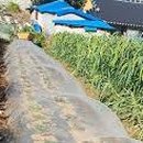 삼동농장 이미지