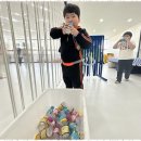 경희대 우리태권도 이미지