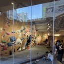 [강남/클라이밍] 🧗클라이밍 입문 후기 "더클라임 강남점"