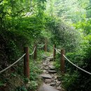 상산목장 이미지