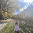 현모농장 이미지