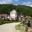 봉평메밀숲 이미지